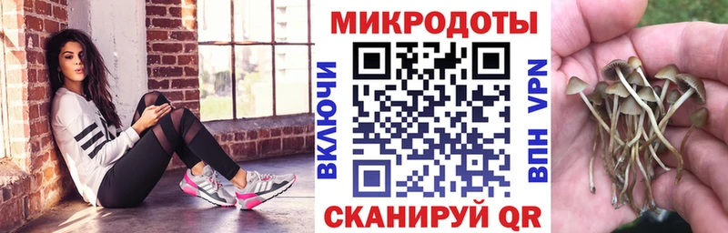 Галлюциногенные грибы Psilocybine cubensis  Рошаль 
